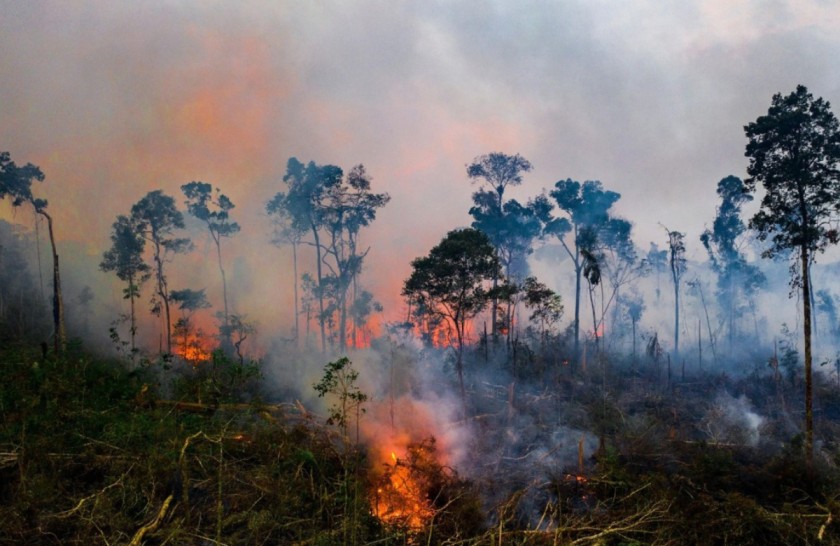 World’s oldest digital currency can solve climate change crisis