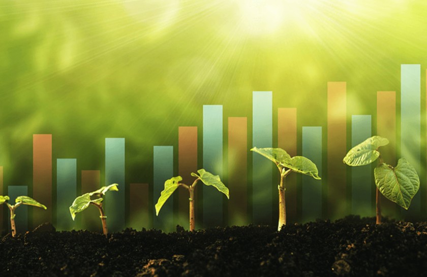 Green Finance and Sustainability: The Next Era in Financial Regulation