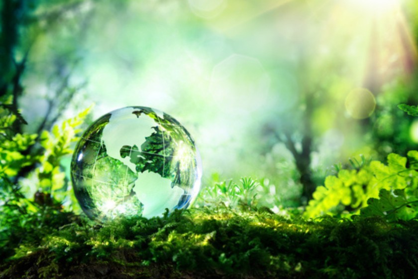 India’s Climate Disclosure Regime Needs Careful Calibration